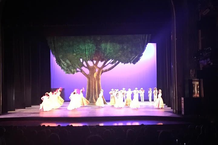 Private Tour: Folkloric Ballet in Mexico City image