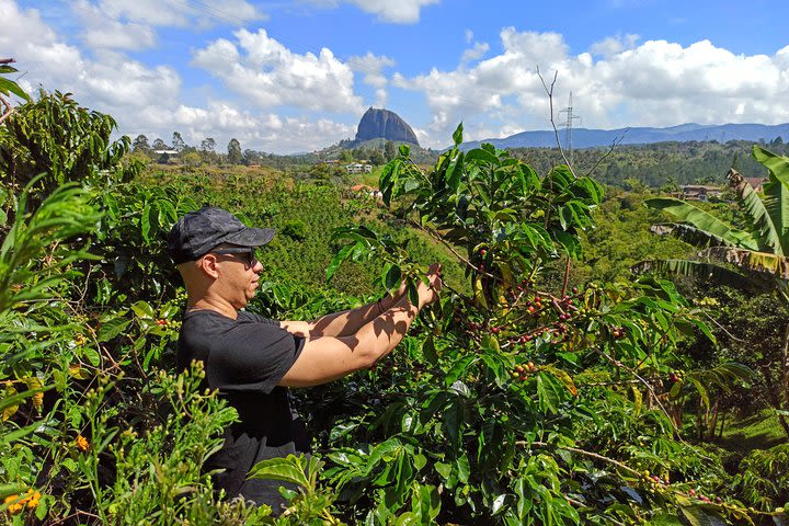 Guatapé & Coffee farm, all in one day image