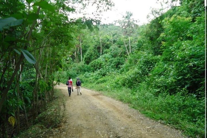 Footprint of the Jaguar (Montes de María) image