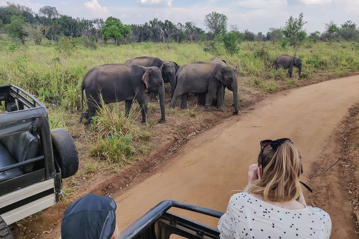 Hurulu Eco Park Private Safari from Sigiriya image