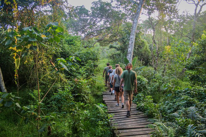 iSimangaliso Guided Walking Safari image