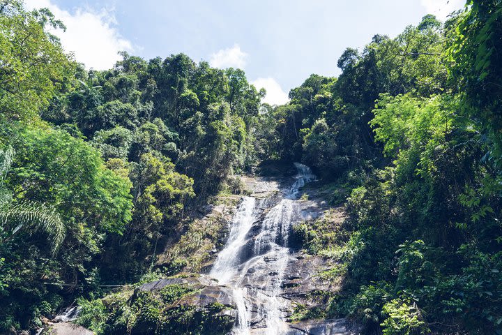 Discover Rio Green Lungs: Tijuca National Park  image