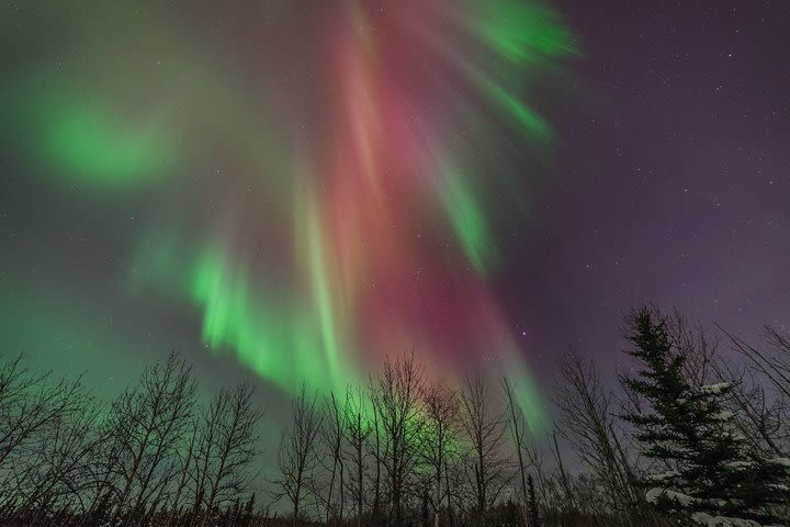 Aurora Quest from Denali image