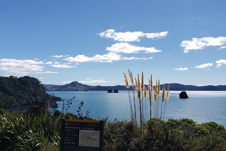 Coromandel explorer - Tuesday & Thursday image