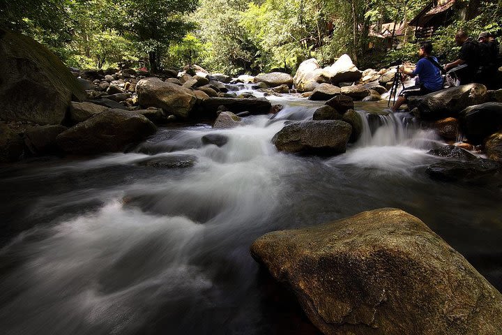 Private Cameron Highlands Day Tour and visit Iskandar Waterfalls image