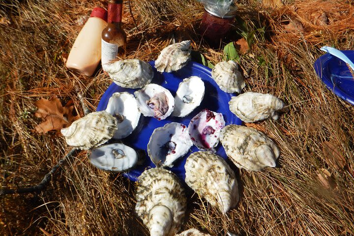 Oyster Farm & Tasting Sea Kayak Tour in Casco Bay image