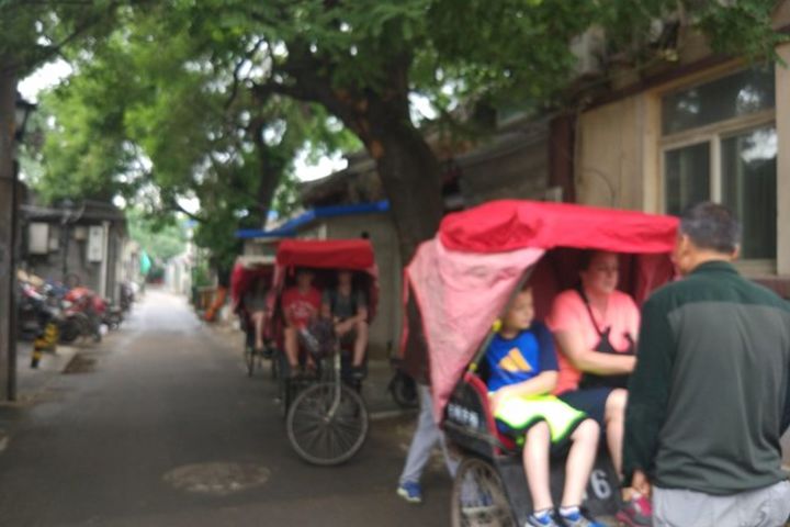 Private Hutong Culture Tour with Dumpling Cooking Class plus Cricket Fighting Game image