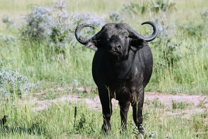 7 Days Small Group Adventure Holiday image