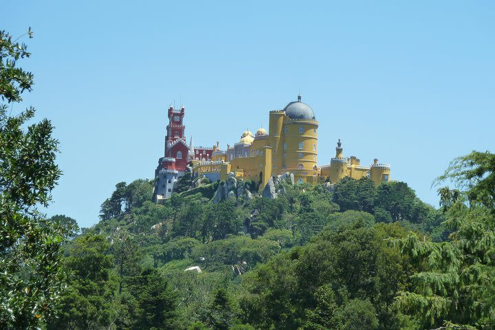 Sintra and Wine Tasting Tour image