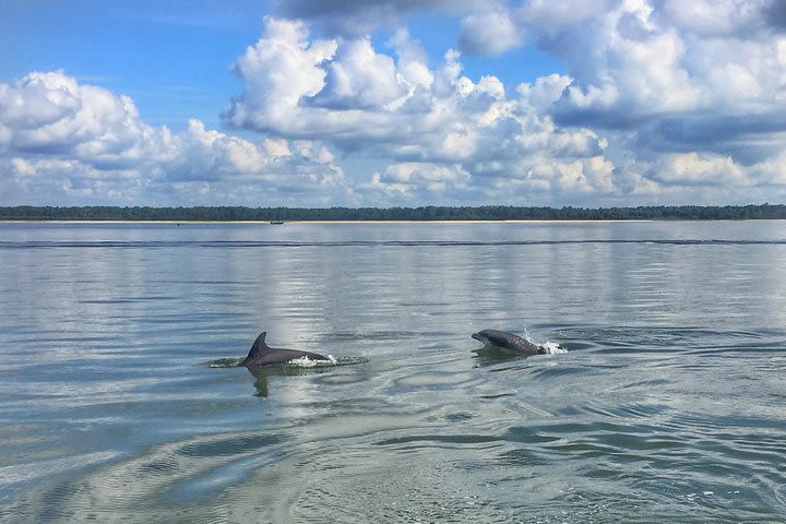 Guided Stand Up Paddleboard Tour image