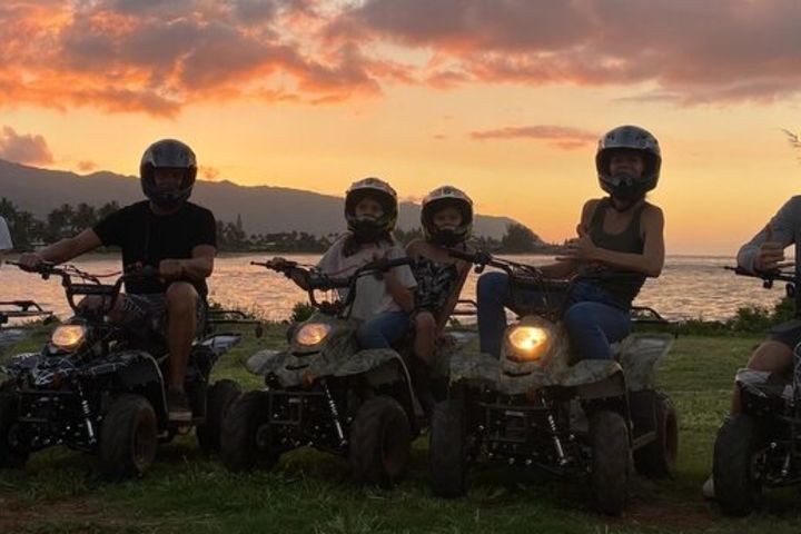 ATV Adventure & Farm Tour (North Shore) image