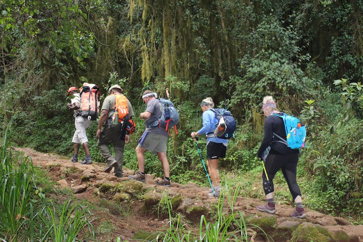 Kilimanjaro Marangu Route 6 Days image