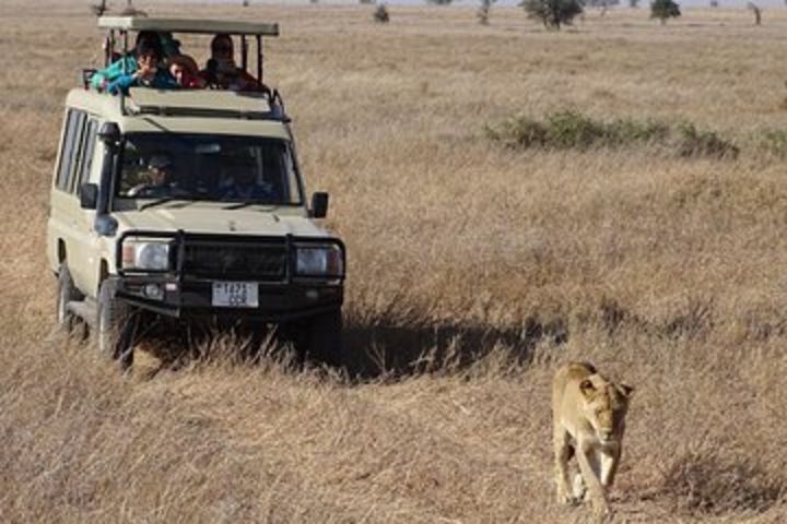 3-Day Serengeti and Ngorongoro Crater Safari image