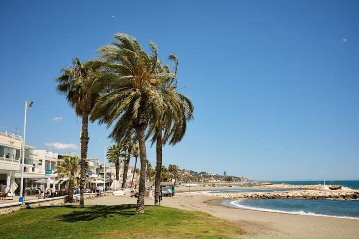 Tour at Malaga Fishing Scene with Cooking Workshop image