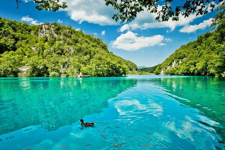 Private Plitvice Lakes National Park Tour from Split or Trogir by Gray Line image