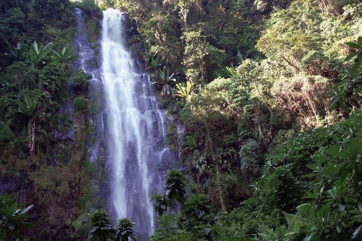 1 Day Materuni Waterfalls image