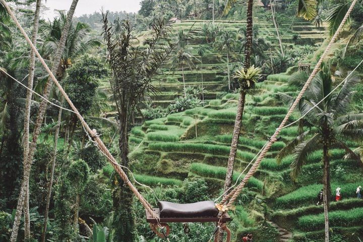 Private Customised Ubud Tour  image