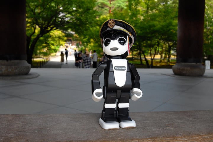 MK Kyoto Robot Tour! See Kyoto w/ Robohon ( Private 6 hour luxury taxi tour)  image
