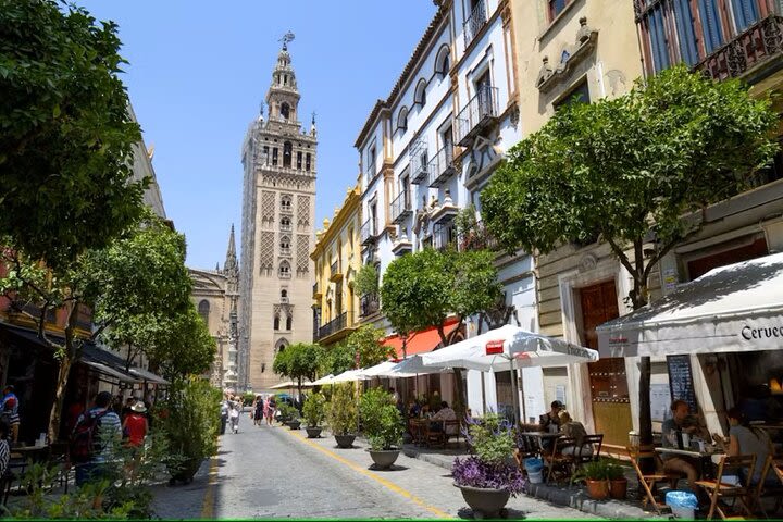 Seville Sightseeing Tour with Rooftop Bar Visit image