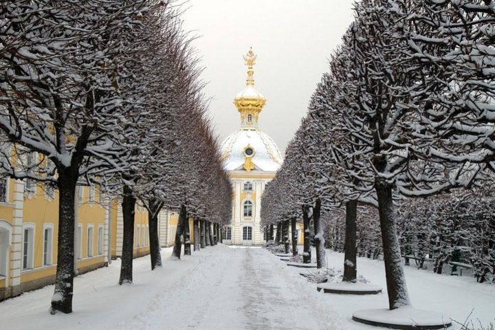 Winter Fairytale in St Petersburg - Peterhof and Catherine Palace image