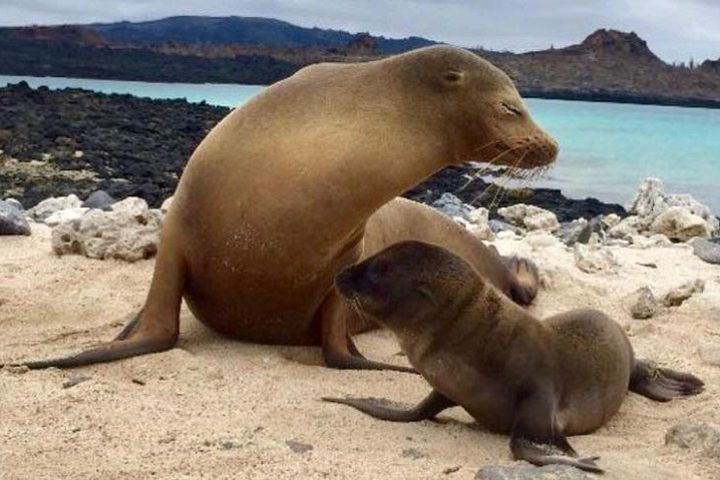 5-Day Galapagos hotels-based tour image