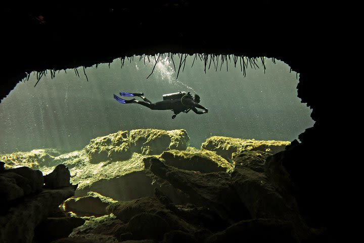 2 different divings in the same cenote for certified divers in Tulum image