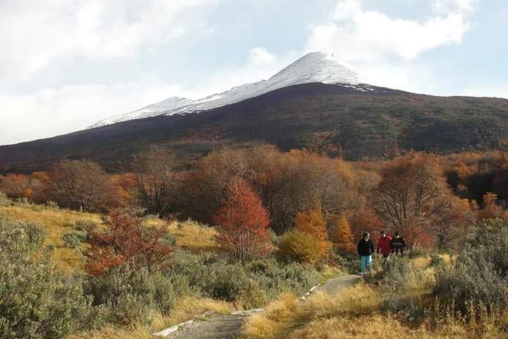 Ushuaia Shore Excursion Nat. Park w/ Hiking (Shared tour by van) image