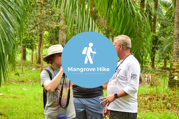 Monkey Mangrove Hike image