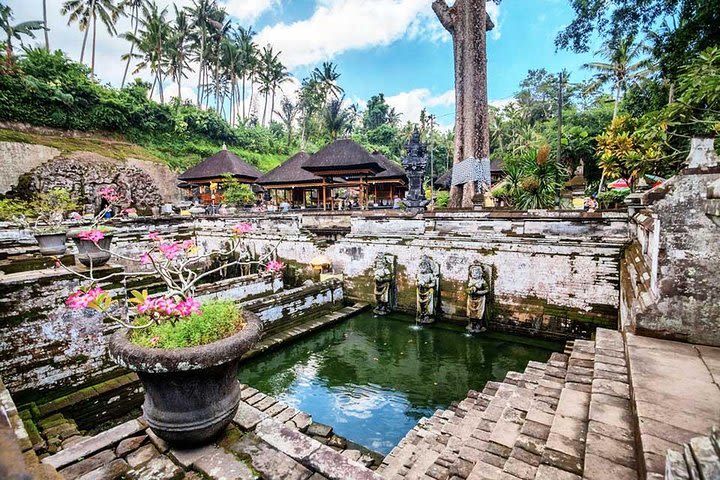 Bali (Natural) Discovery Tour Rice, Waterfall, Forest image