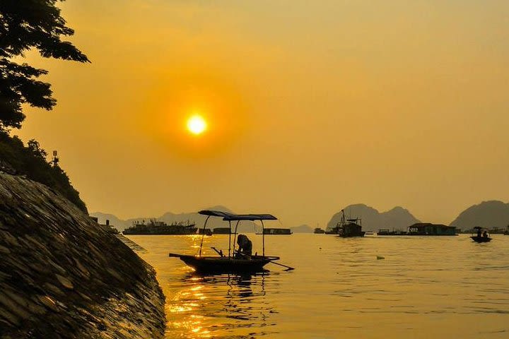 Kayak with glowing plankton in Cat Ba island with Local Adventures image