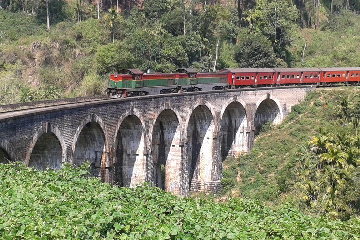  Ella Attraction’s Ella Rock, Little Adam’s Peak, Nine Arches Bridge in One Day image