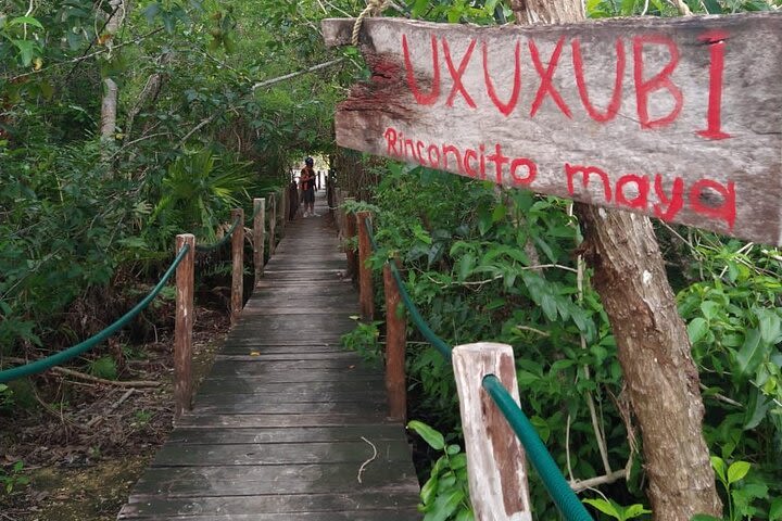 Tulum Sunset ATV, Zipline, Kayak and Cenote Adventure image