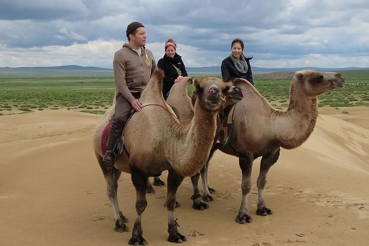 The Best 5 Days Tour in Central Mongolia image