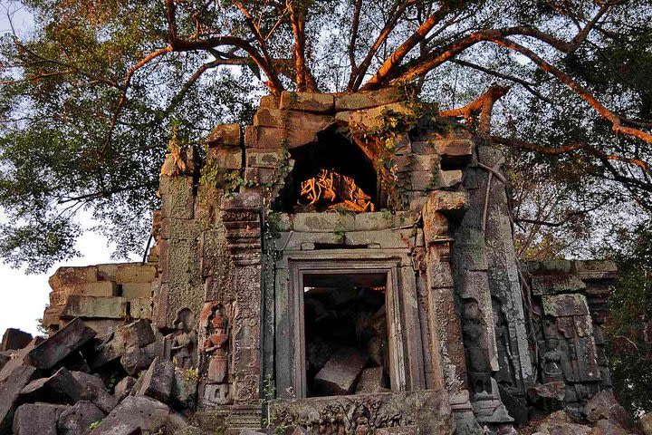 Day Trip to Beng Mealea Temple and Kampong Khleang from Siem Reap image