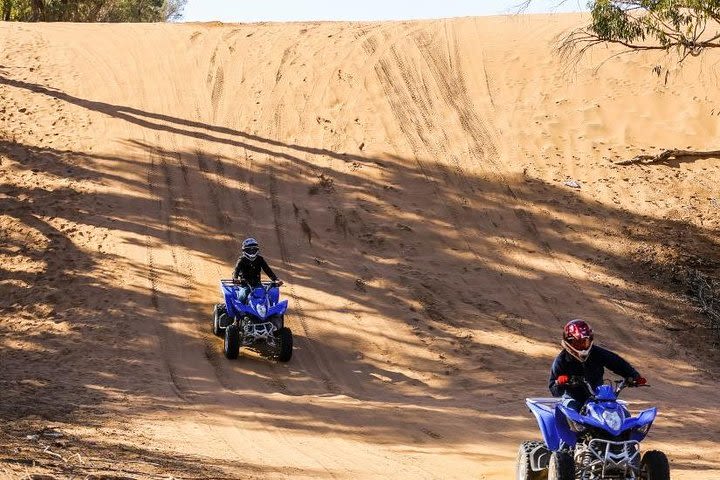 Half day Quad or Buggy ride image