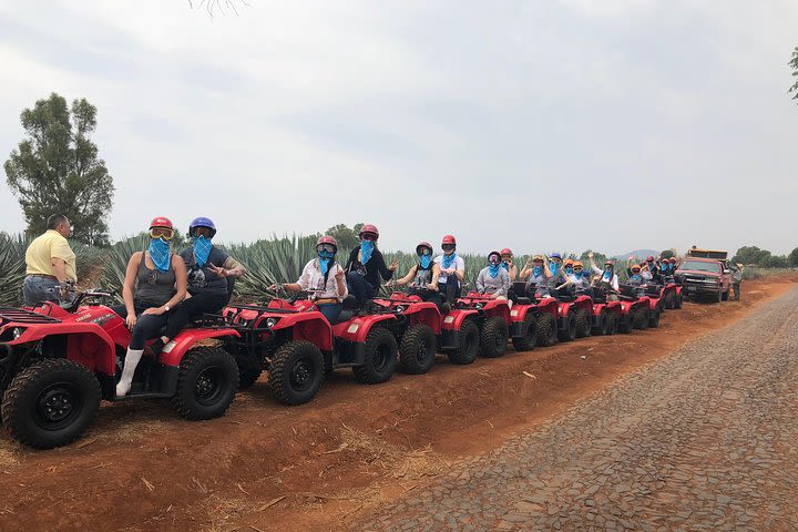 Guided tours in quad bike in the Altos de Jalisco image