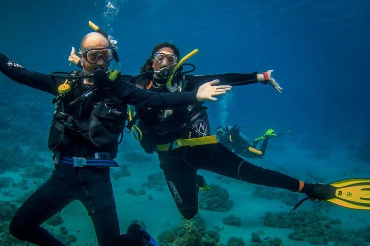 Double dream dive on a Maritime Reserve image