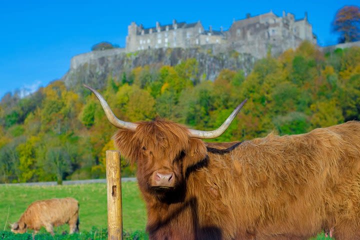 Stirling Castle,Trossachs National and Loch Lomond Day Tour from Edinburgh image