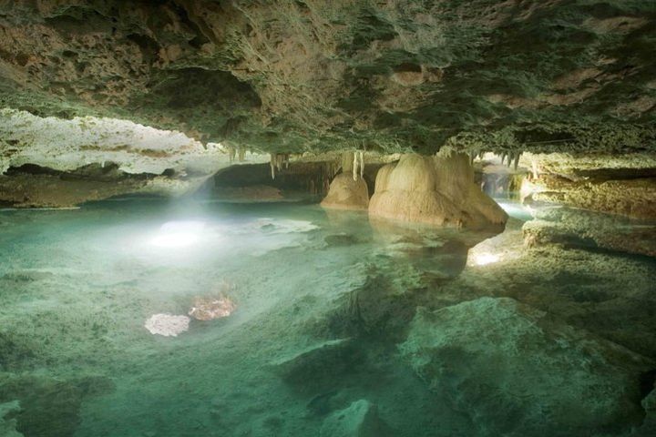 Coba Adventure: ATV, Rappel, Ziplines, Cenote, Archeological Zone Tour image