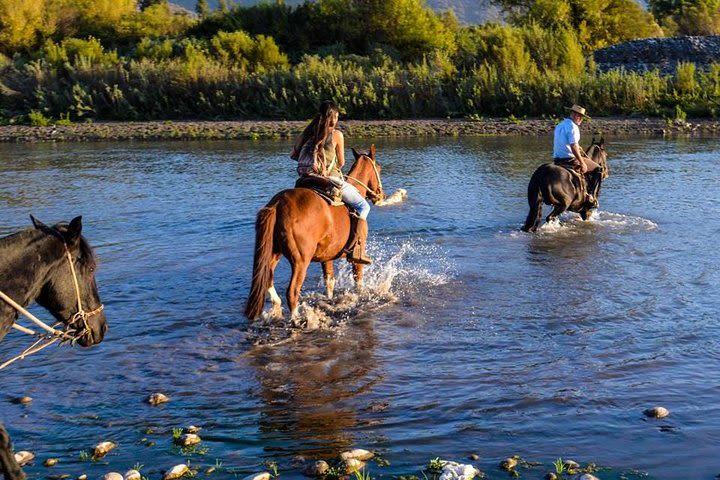 Horseback Private Wine Tour and Country Grill from Santiago image