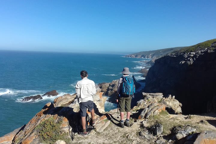 Guided Robberg Peninsula Hike Plettenberg Bay - 5 hours image