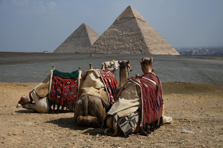 Pyramids & Sphinx Half Day Tour from any hotel image