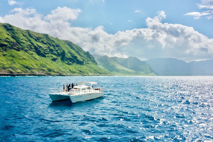 Swim with Dolphins in the West Coast line of Oahu image