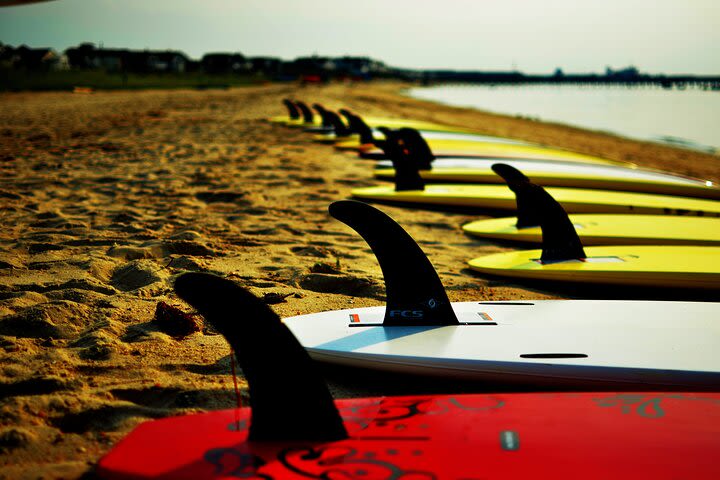 2-Hour Paddleboard Rental in Rehoboth Bay image