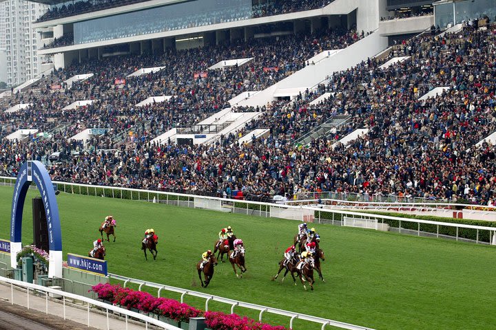 Enjoy the HKJC horse races from the 2M roof deck. image