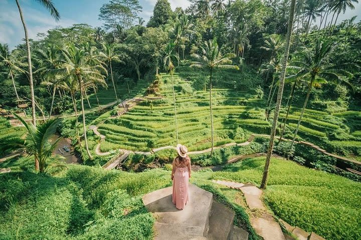 Amazing Seightseeing Tegalalang Rice Terrace, Ubud Tour image