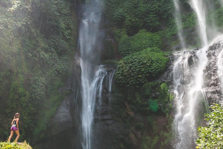 Bali Day Tour of Sunrise Watch at Kintamani, Lemukih Rice Field and Sekumpul Waterfalls image