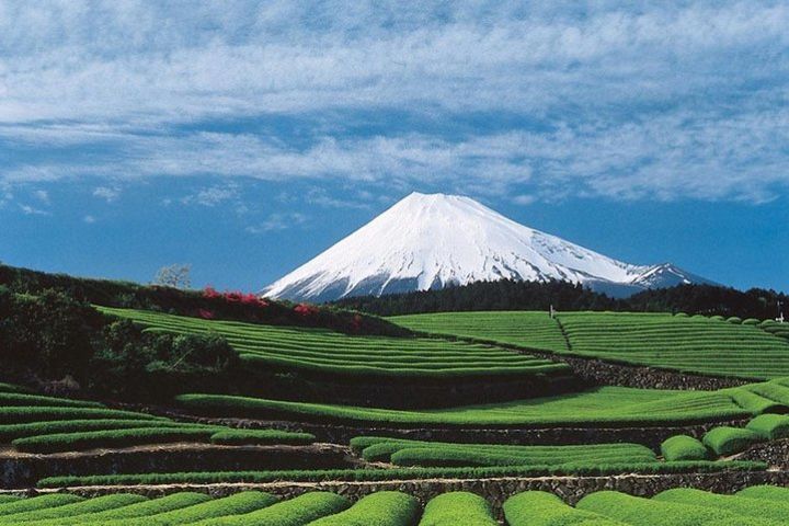 Shizuoka/Shimizu Mt Fuji View Full-Day Private Tour with Licensed Guide image