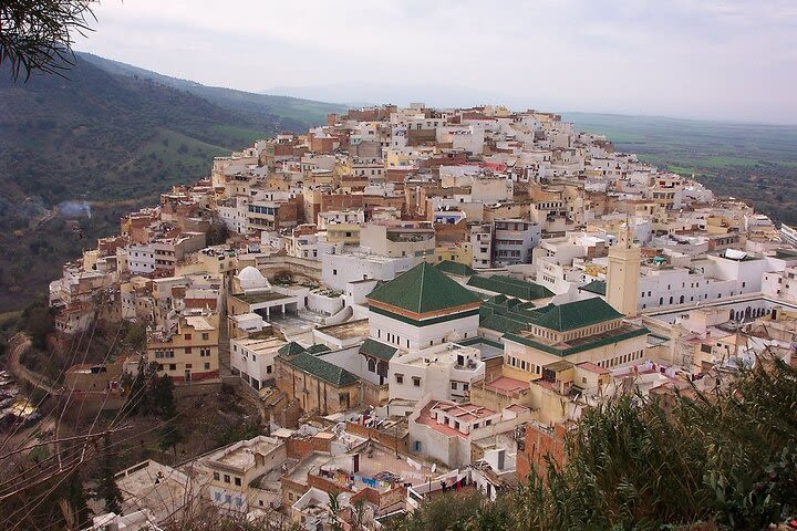 Small Group: From Fez to Volubilis -Mouly Idriss and Meknes day trip image