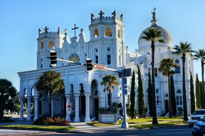 Galveston Dolphin Cruise & Elissa Tour image